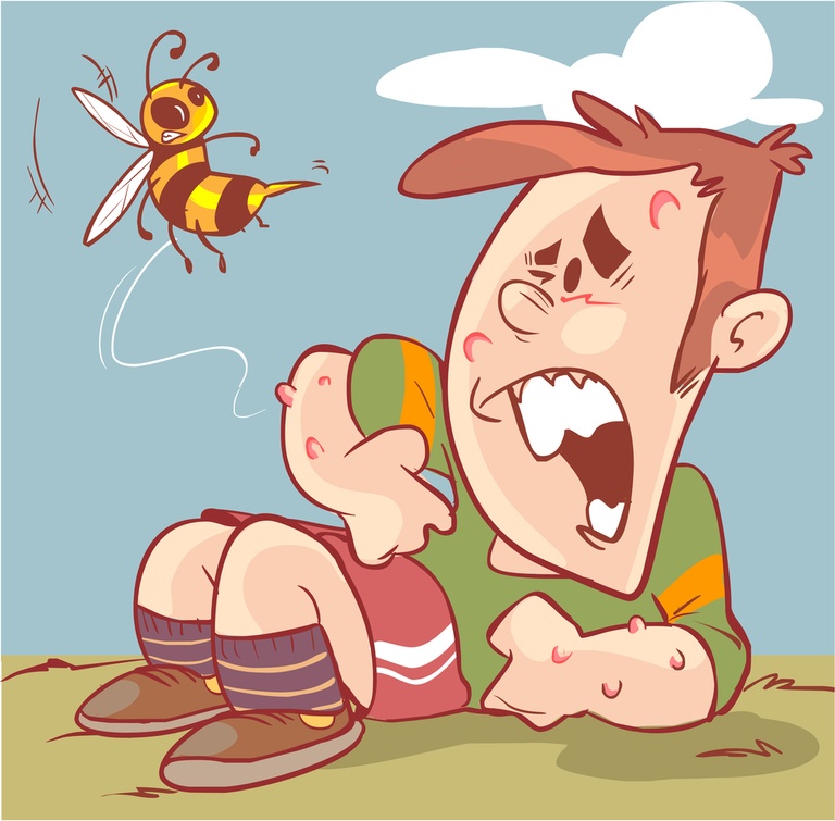 How Do You Treat An Insect Sting While Camping? How Do You Treat An Insect Sting While Camping?