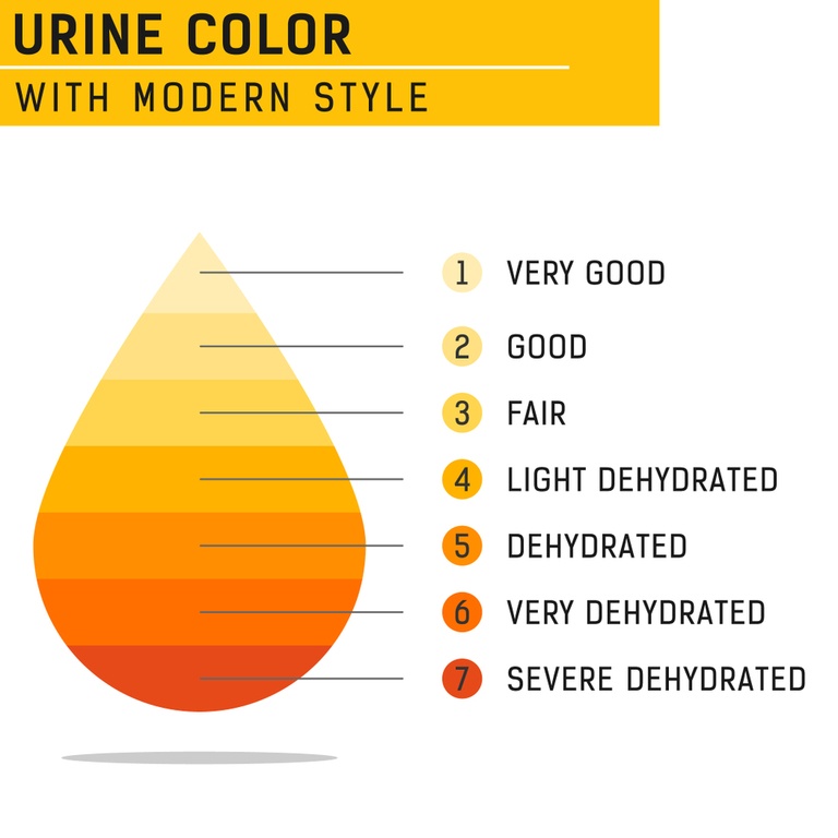 How Can You Prevent Dehydration During Outdoor Activities? How Can You Prevent Dehydration During Outdoor Activities?