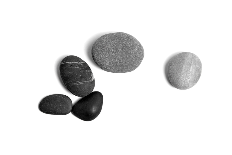 How To Poop In The Woods Without Toilet Paper? How To Poop In The Woods Without Toilet Paper?