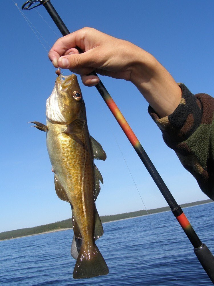 How To Read The Water To Find More Fish? How To Read The Water To Find More Fish?