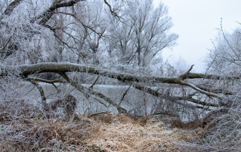 Three Often-Ignored Outdoor Risks That Could Get You Killed Three Often-Ignored Outdoor Risks That Could Get You Killed