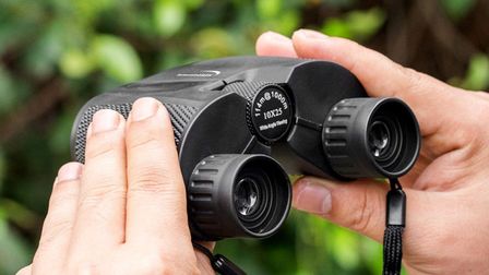 6 Best Budget Binoculars of 2026 6 Best Budget Binoculars of 2026