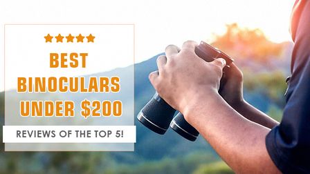 5 Best Binoculars Under $200 of 2026 5 Best Binoculars Under $200 of 2026