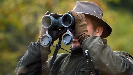 6 Best Hunting Binoculars for the Money of 2026 6 Best Hunting Binoculars for the Money of 2026