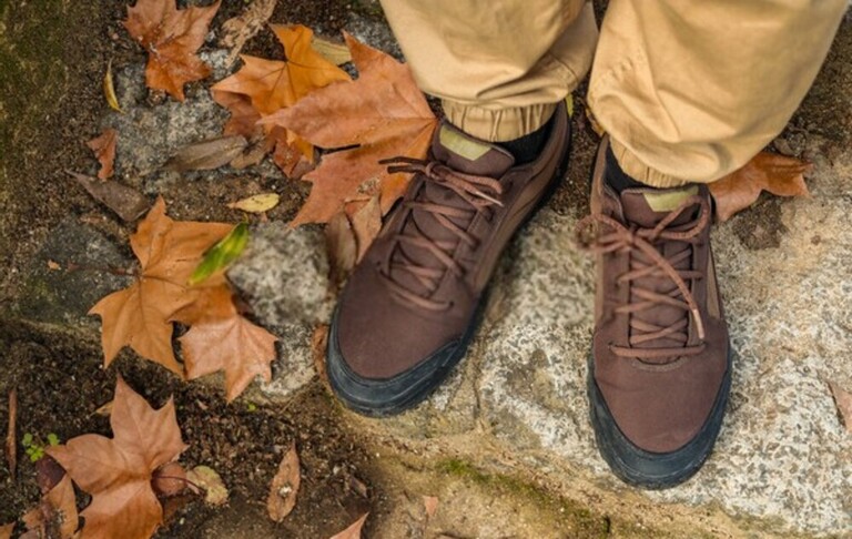 Elk Hunting Mistakes To Avoid Elk Hunting Mistakes To Avoid