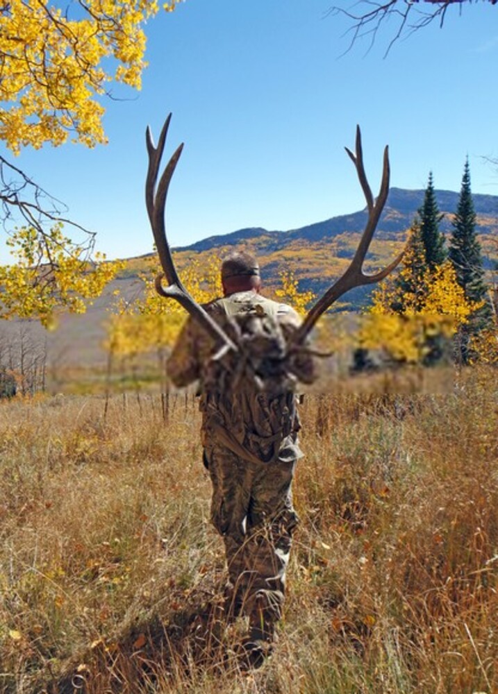 Elk Hunting Mistakes To Avoid Elk Hunting Mistakes To Avoid