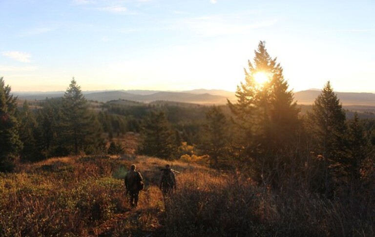 Elk Hunting Mistakes To Avoid Elk Hunting Mistakes To Avoid