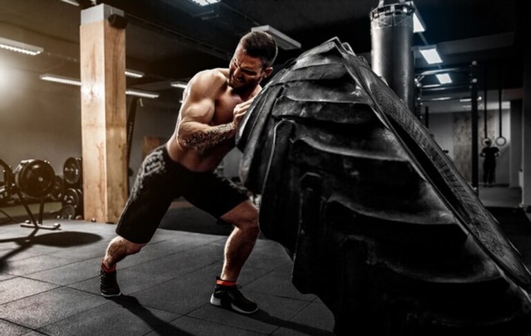 Elk Hunting Mistakes To Avoid Elk Hunting Mistakes To Avoid