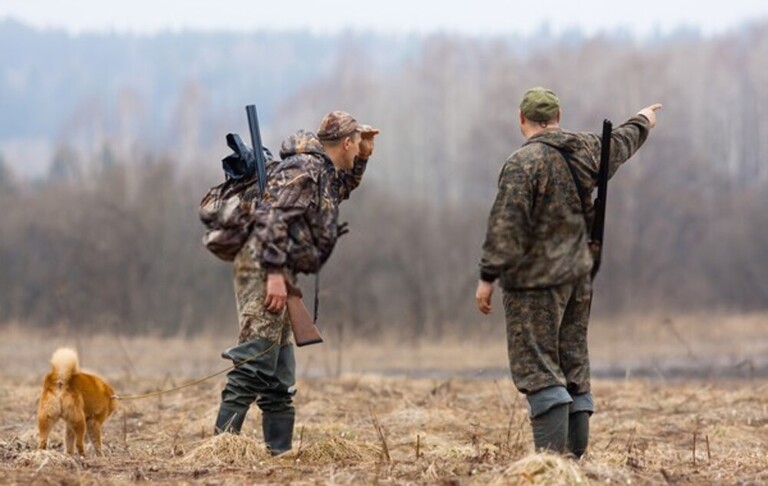 Elk Hunting Mistakes To Avoid Elk Hunting Mistakes To Avoid